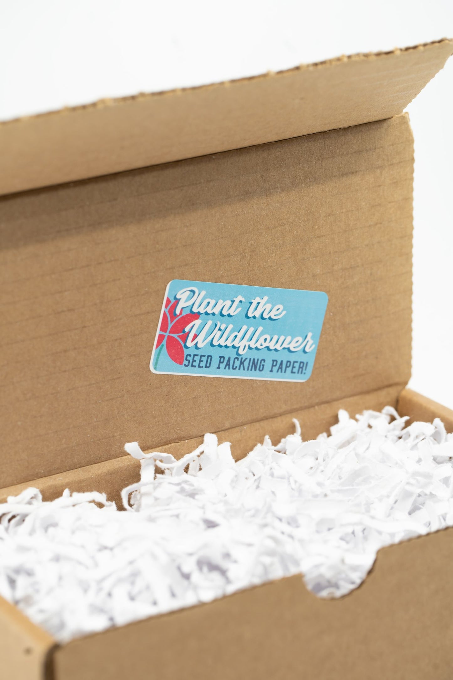 Coffret de 6 kits de baume à lèvres Earthy Good DIY (vente en gros)